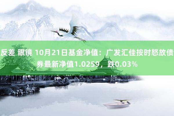反差 眼镜 10月21日基金净值：广发汇佳按时怒放债券最新净值1.0259，跌0.03%