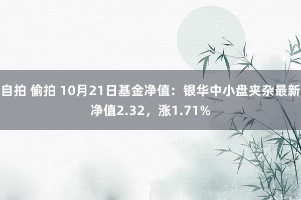 自拍 偷拍 10月21日基金净值：银华中小盘夹杂最新净值2.32，涨1.71%