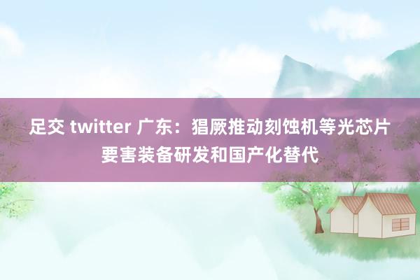 足交 twitter 广东：猖厥推动刻蚀机等光芯片要害装备研发和国产化替代