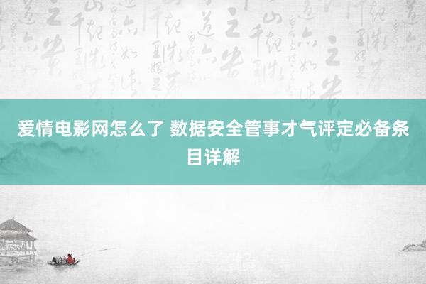 爱情电影网怎么了 数据安全管事才气评定必备条目详解