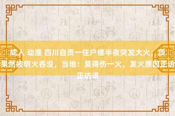 成人 动漫 四川自贡一住户楼半夜突发大火，顶楼果然被明火吞没，当地：莫得伤一火，发火原因正访谒