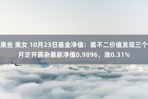 黑丝 美女 10月23日基金净值：嘉不二价值发现三个月定开羼杂最新净值0.9896，涨0.31%
