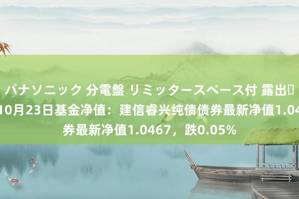 パナソニック 分電盤 リミッタースペース付 露出・半埋込両用形 10月23日基金净值：建信睿兴纯债债券最新净值1.0467，跌0.05%