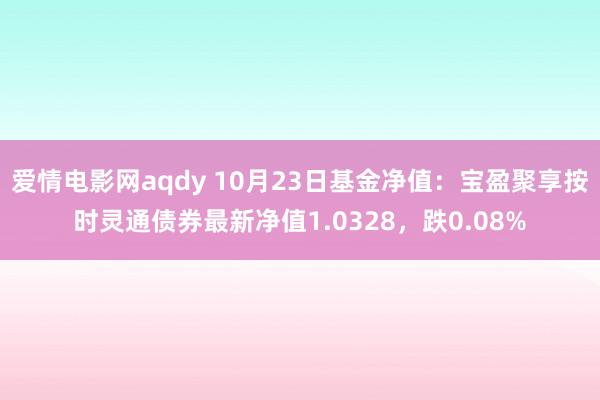 爱情电影网aqdy 10月23日基金净值：宝盈聚享按时灵通债券最新净值1.0328，跌0.08%