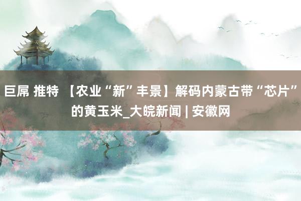 巨屌 推特 【农业“新”丰景】解码内蒙古带“芯片”的黄玉米_大皖新闻 | 安徽网