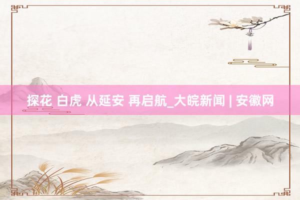 探花 白虎 从延安 再启航_大皖新闻 | 安徽网
