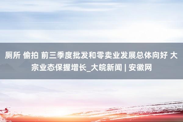 厕所 偷拍 前三季度批发和零卖业发展总体向好 大宗业态保握增长_大皖新闻 | 安徽网
