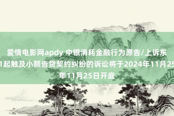 爱情电影网apdy 中银消耗金融行为原告/上诉东谈主的1起触及小额告贷契约纠纷的诉讼将于2024年11月25日开庭
