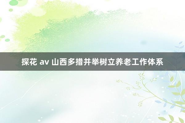 探花 av 山西多措并举树立养老工作体系