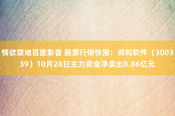情欲禁地百度影音 股票行情快报：润和软件（300339）10月28日主力资金净卖出8.86亿元