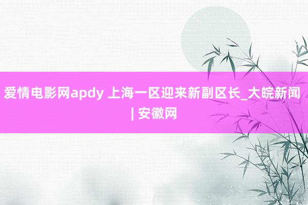 爱情电影网apdy 上海一区迎来新副区长_大皖新闻 | 安徽网