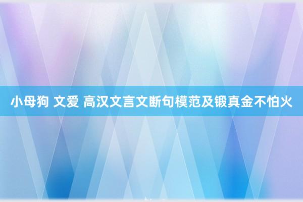 小母狗 文爱 高汉文言文断句模范及锻真金不怕火