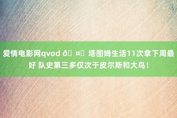 爱情电影网qvod 🤙塔图姆生活11次拿下周最好 队史第三多仅次于皮尔斯和大鸟！