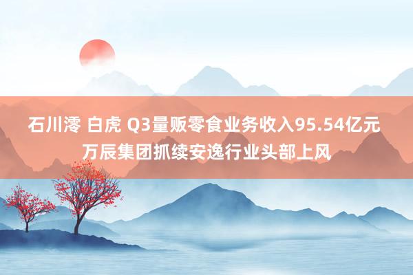 石川澪 白虎 Q3量贩零食业务收入95.54亿元 万辰集团抓续安逸行业头部上风