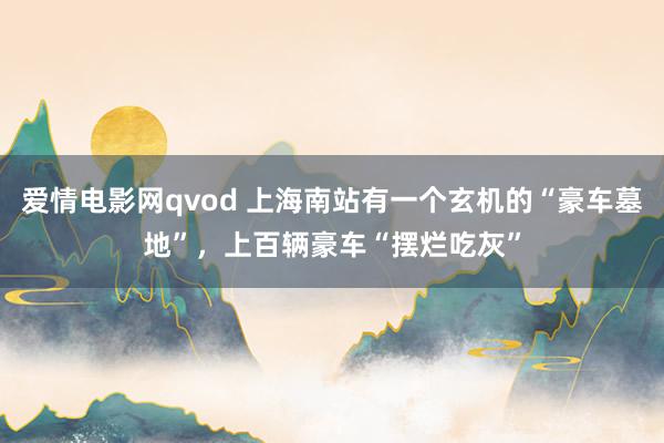 爱情电影网qvod 上海南站有一个玄机的“豪车墓地”，上百辆豪车“摆烂吃灰”
