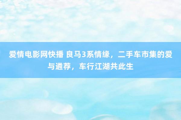 爱情电影网快播 良马3系情缘，二手车市集的爱与遴荐，车行江湖共此生