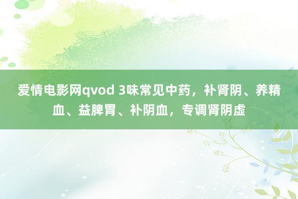 爱情电影网qvod 3味常见中药，补肾阴、养精血、益脾胃、补阴血，专调肾阴虚
