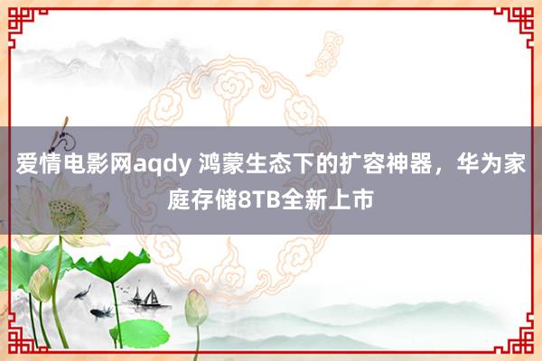 爱情电影网aqdy 鸿蒙生态下的扩容神器，华为家庭存储8TB全新上市
