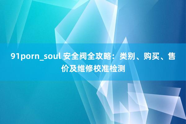 91porn_soul 安全阀全攻略：类别、购买、售价及维修校准检测
