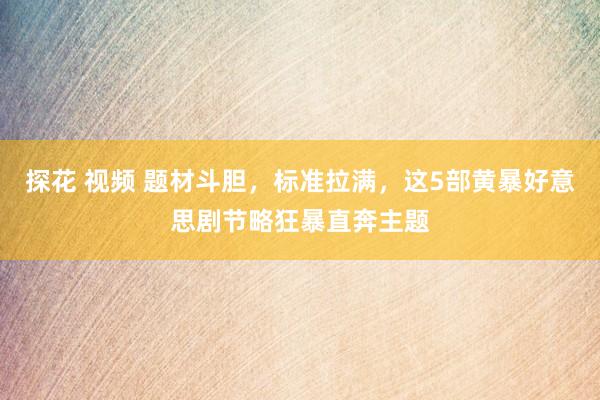 探花 视频 题材斗胆，标准拉满，这5部黄暴好意思剧节略狂暴直奔主题