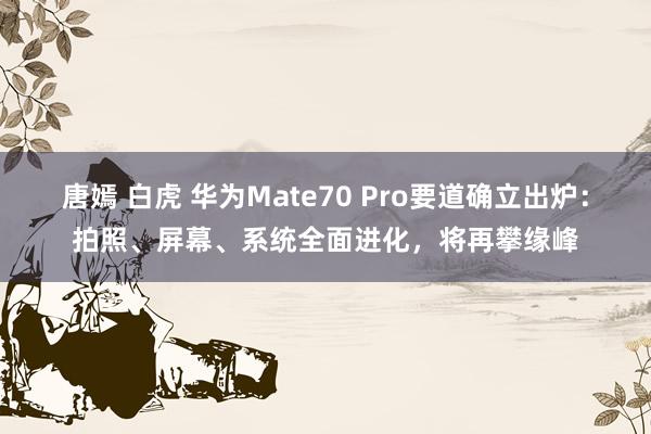唐嫣 白虎 华为Mate70 Pro要道确立出炉：拍照、屏幕、系统全面进化，将再攀缘峰
