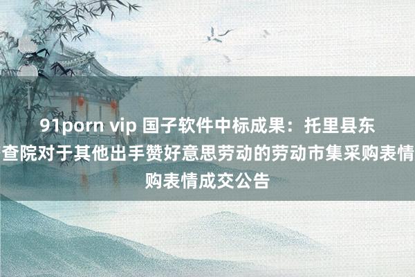 91porn vip 国子软件中标成果：托里县东谈主民稽查院对于其他出手赞好意思劳动的劳动市集采购表情成交公告