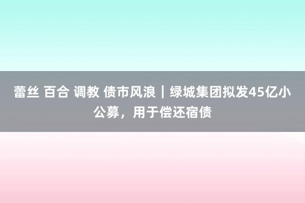 蕾丝 百合 调教 债市风浪｜绿城集团拟发45亿小公募，用于偿还宿债