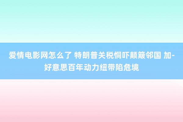 爱情电影网怎么了 特朗普关税恫吓颠簸邻国 加-好意思百年动力纽带陷危境