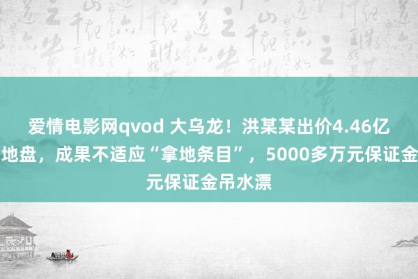 爱情电影网qvod 大乌龙！洪某某出价4.46亿元竞拍地盘，成果不适应“拿地条目”，5000多万元保证金吊水漂