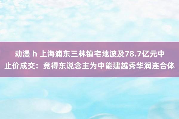 动漫 h 上海浦东三林镇宅地波及78.7亿元中止价成交：竞得东说念主为中能建越秀华润连合体