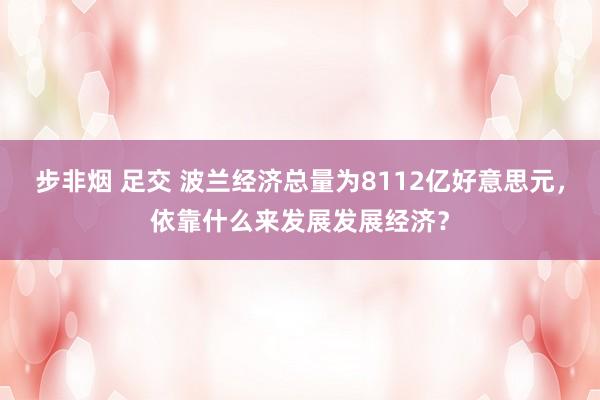 步非烟 足交 波兰经济总量为8112亿好意思元，依靠什么来发展发展经济？