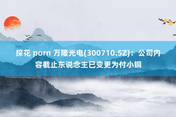 探花 porn 万隆光电(300710.SZ)：公司内容截止东说念主已变更为付小铜