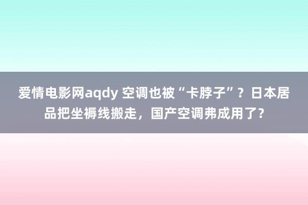 爱情电影网aqdy 空调也被“卡脖子”？日本居品把坐褥线搬走，国产空调弗成用了？