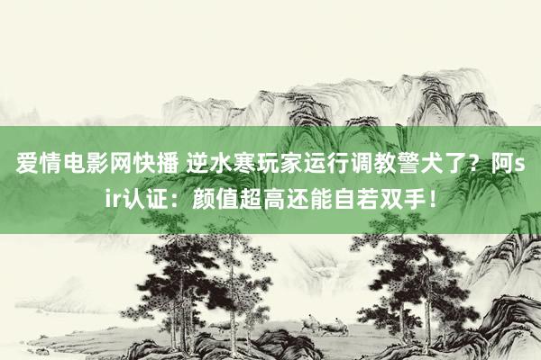 爱情电影网快播 逆水寒玩家运行调教警犬了？阿sir认证：颜值超高还能自若双手！