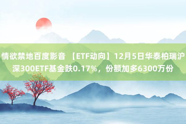 情欲禁地百度影音 【ETF动向】12月5日华泰柏瑞沪深300ETF基金跌0.17%，份额加多6300万份