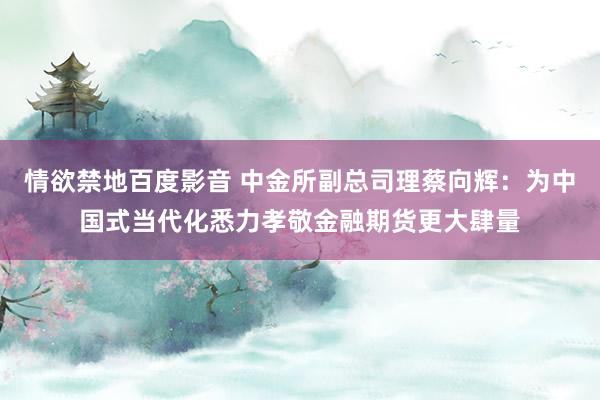 情欲禁地百度影音 中金所副总司理蔡向辉：为中国式当代化悉力孝敬金融期货更大肆量