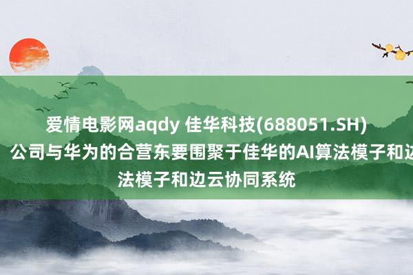 爱情电影网aqdy 佳华科技(688051.SH)：时代层面，公司与华为的合营东要围聚于佳华的AI算法模子和边云协同系统