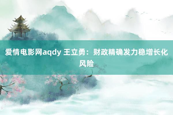 爱情电影网aqdy 王立勇：财政精确发力稳增长化风险