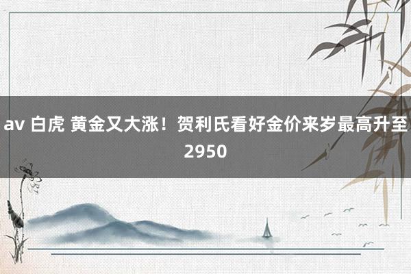 av 白虎 黄金又大涨！贺利氏看好金价来岁最高升至2950