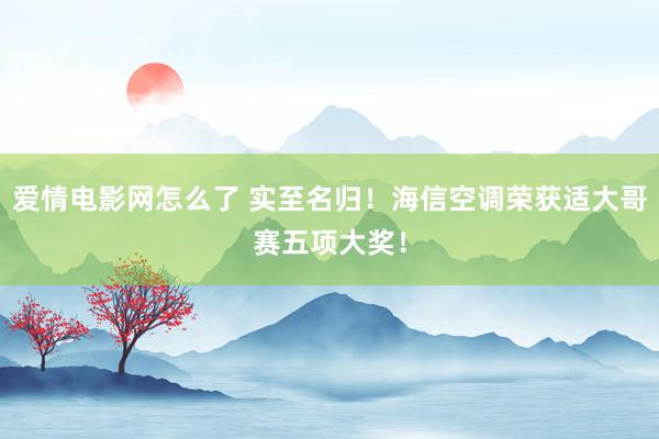 爱情电影网怎么了 实至名归！海信空调荣获适大哥赛五项大奖！