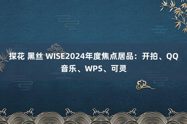 探花 黑丝 WISE2024年度焦点居品：开拍、QQ音乐、WPS、可灵