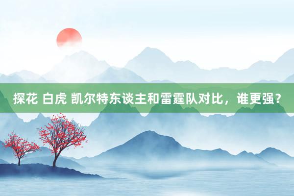 探花 白虎 凯尔特东谈主和雷霆队对比，谁更强？