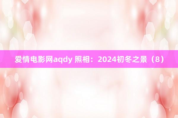 爱情电影网aqdy 照相：2024初冬之景（8）