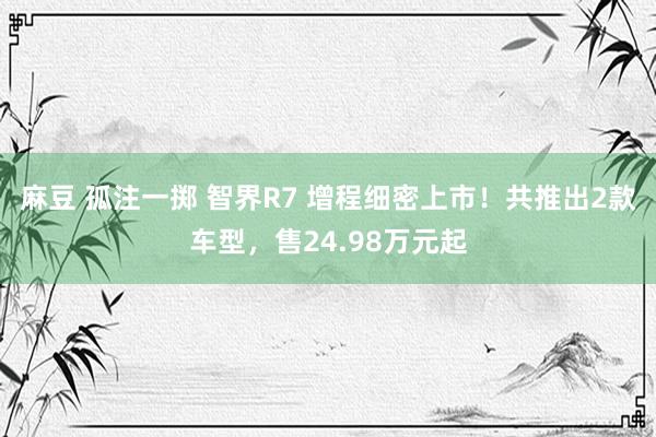 麻豆 孤注一掷 智界R7 增程细密上市！共推出2款车型，售24.98万元起