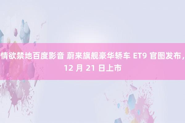 情欲禁地百度影音 蔚来旗舰豪华轿车 ET9 官图发布，12 月 21 日上市