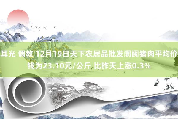 耳光 调教 12月19日天下农居品批发阛阓猪肉平均价钱为23.10元/公斤 比昨天上涨0.3%