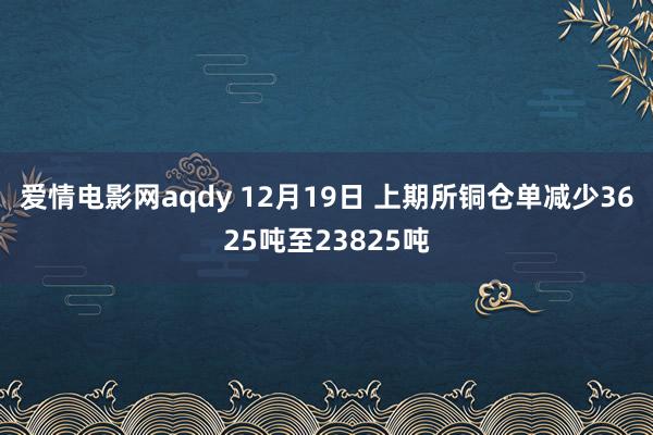 爱情电影网aqdy 12月19日 上期所铜仓单减少3625吨至23825吨