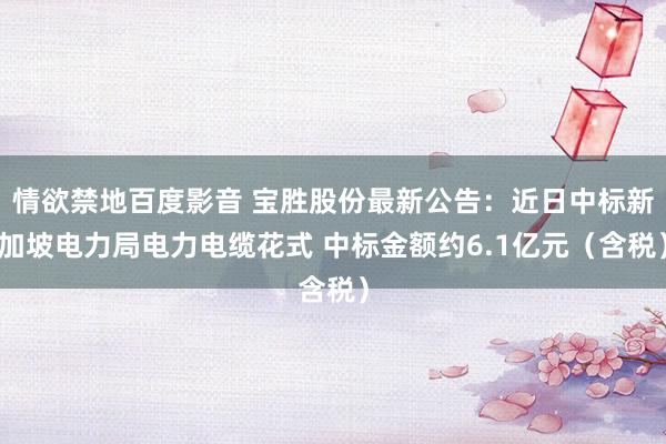 情欲禁地百度影音 宝胜股份最新公告：近日中标新加坡电力局电力电缆花式 中标金额约6.1亿元（含税）