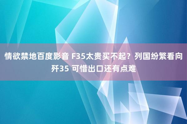 情欲禁地百度影音 F35太贵买不起？列国纷繁看向歼35 可惜出口还有点难