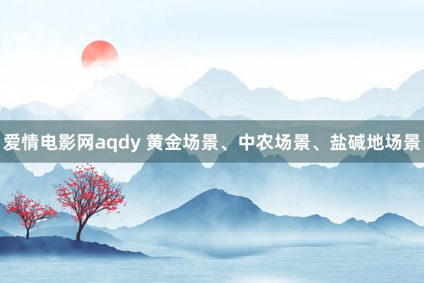爱情电影网aqdy 黄金场景、中农场景、盐碱地场景